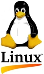most popular linux distro